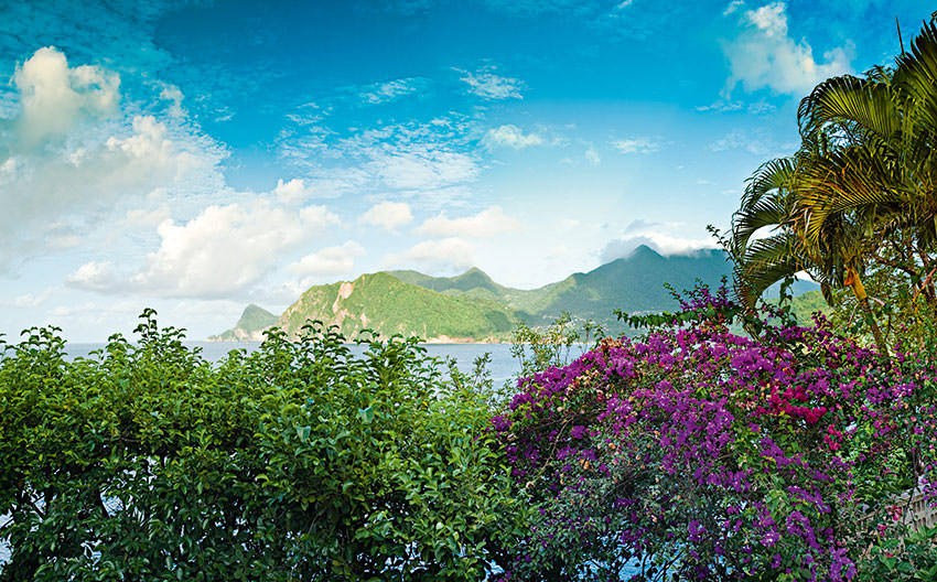 Zandoli Views Towards Grand Bay 9558 9564