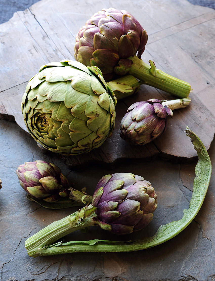 Artichokes