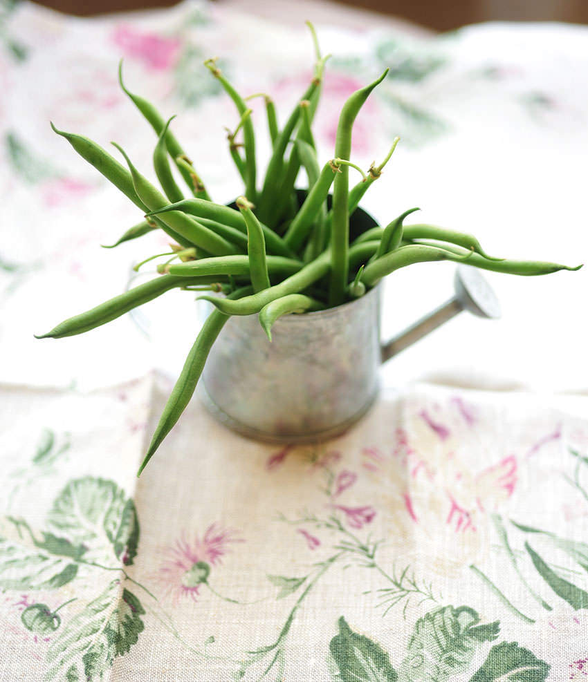 French beans
