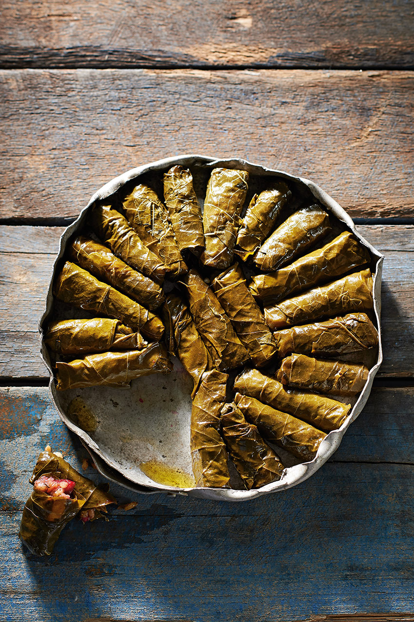 Dolma3