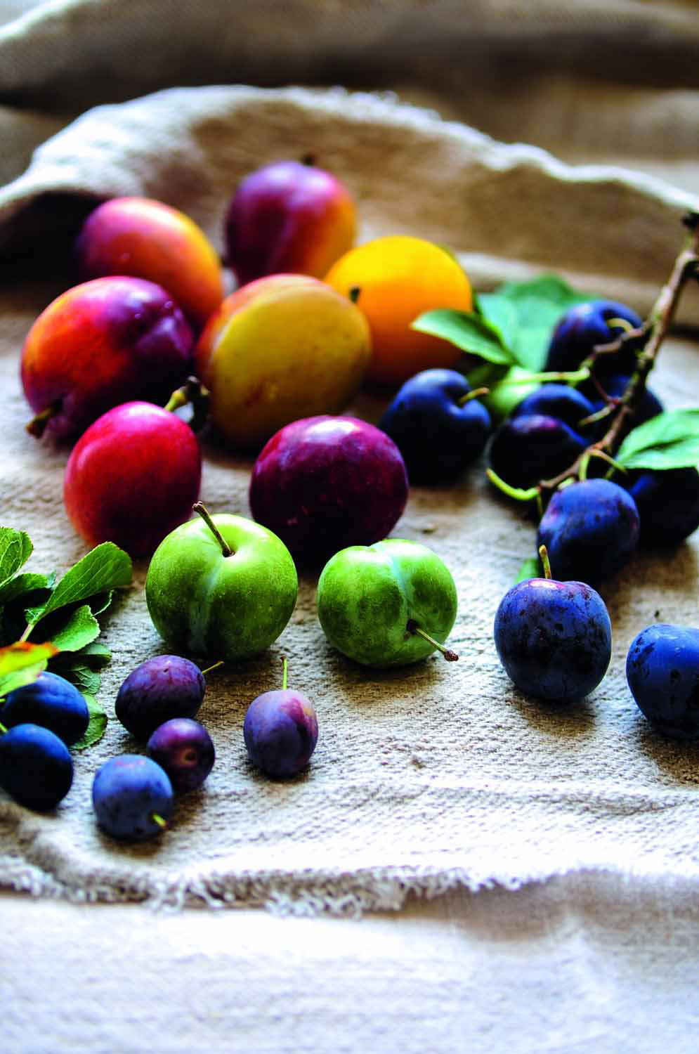 Plums