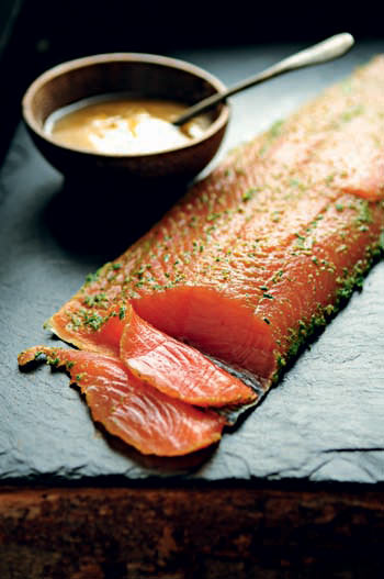 Salmon 6