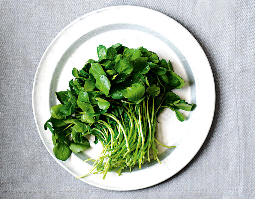 Watercress