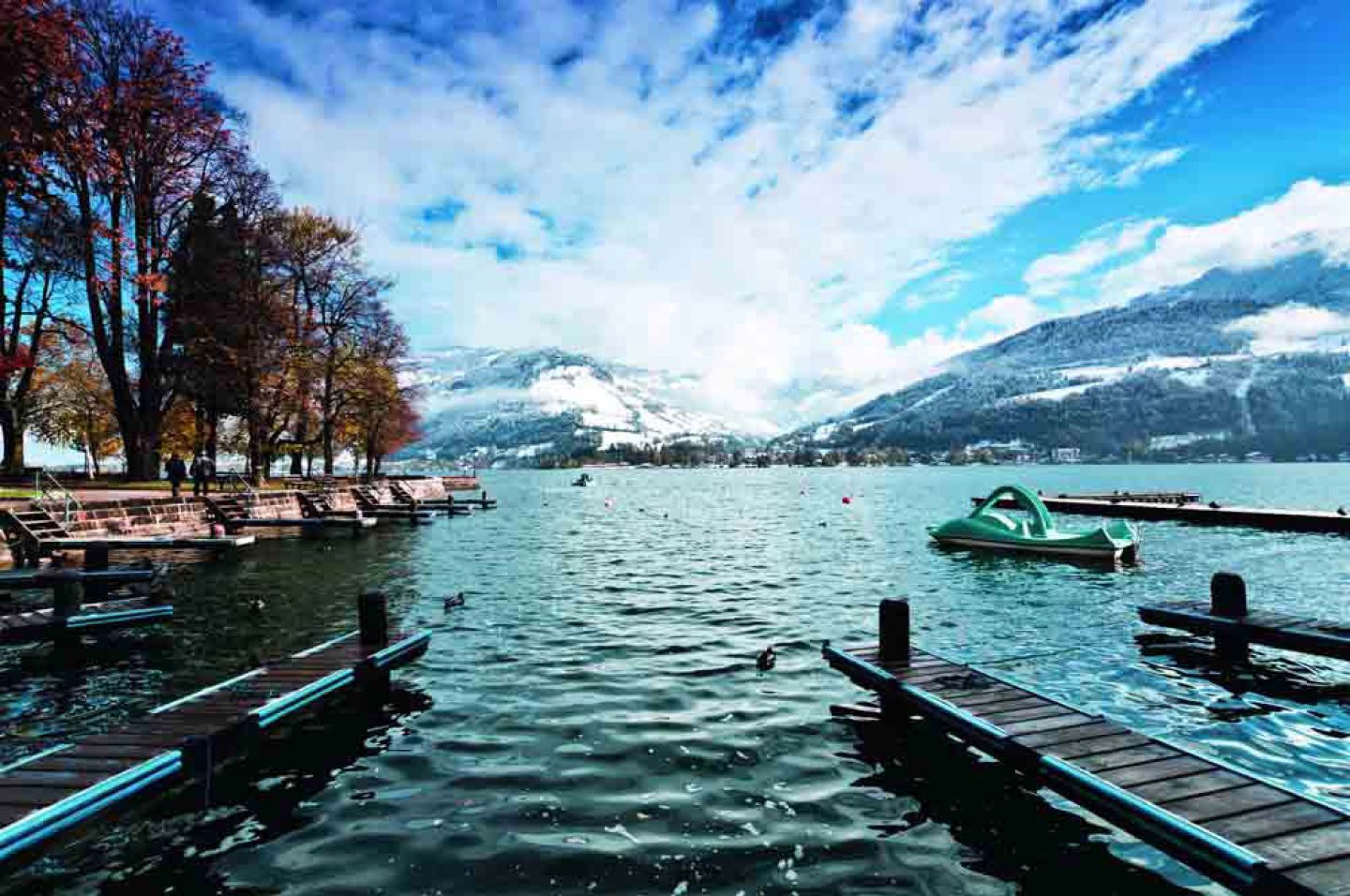 Zell1