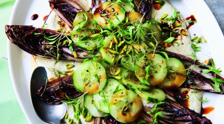 Cucumber and radichio humous 1006